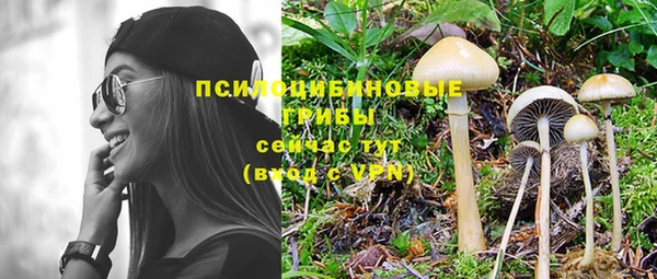 ECSTASY Нязепетровск